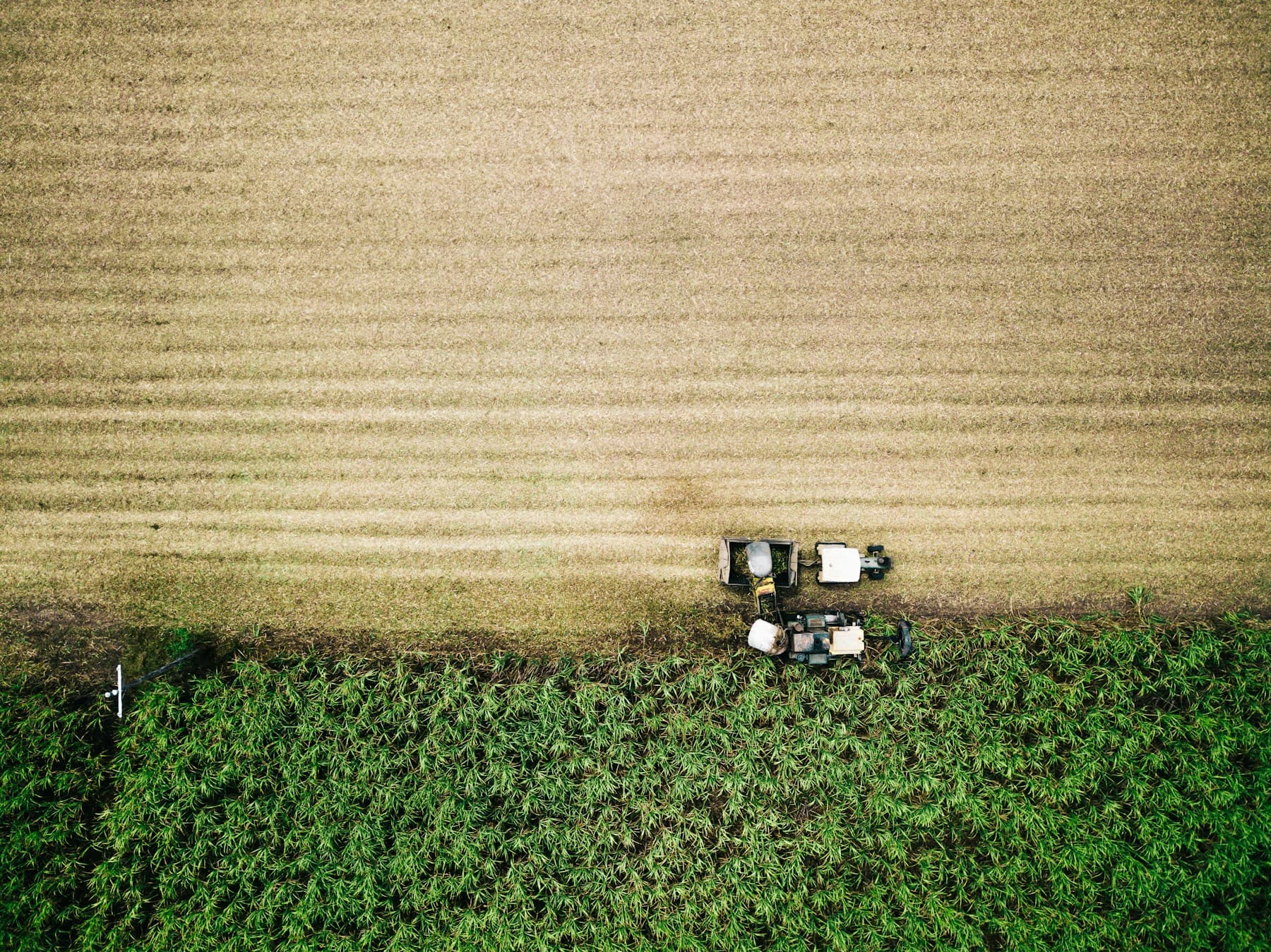 Australian organic farm